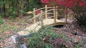 A wooden bridge over a small stream in a forested area with autumn leaves and red foliage.