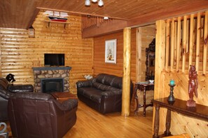 TV, fireplace, DVD player, books