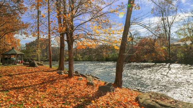 A park with a gazebo, trees with autumn leaves, and a river.