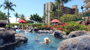 Outdoor pool, a heated pool