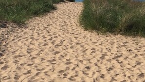 A sandy path leading to the beach with grass on either side.
