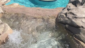 Un espace piscine aménagé dans un complexe hôtelier, doté de plusieurs éléments aquatiques, dont une fontaine centrale, entouré de chaises longues et de palmiers.