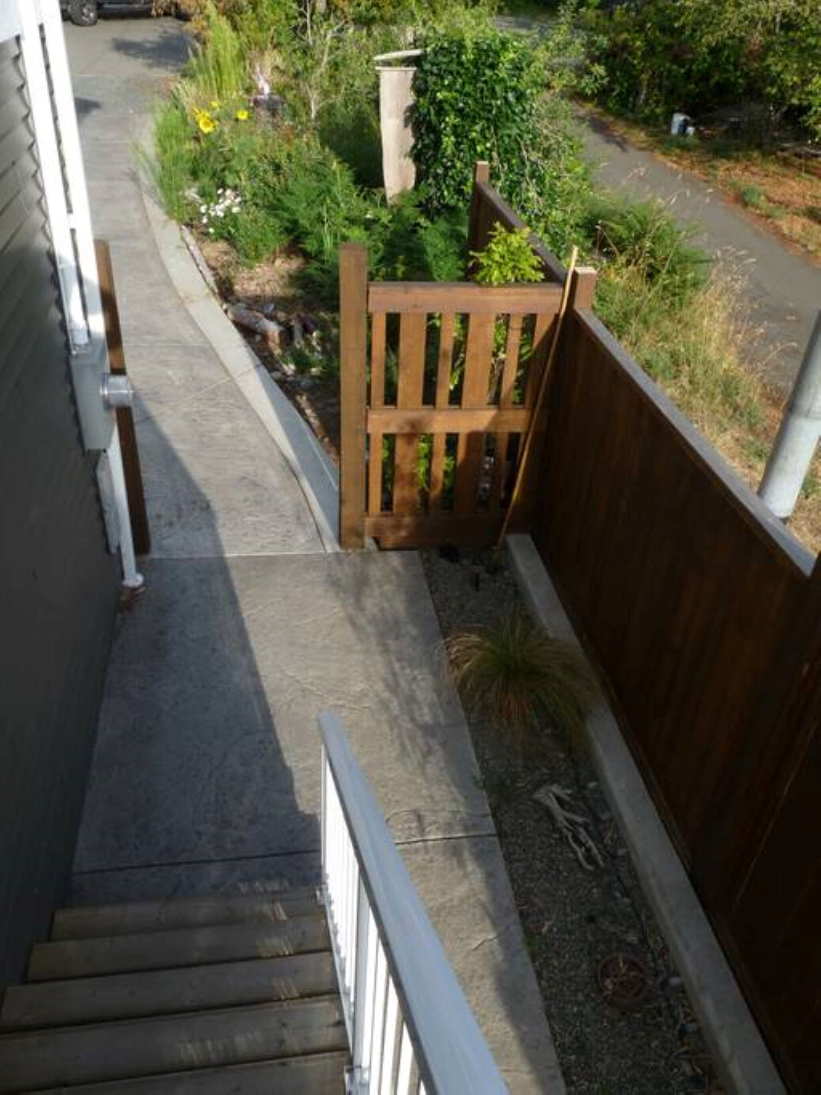 A residential outdoor area with a wooden gate, a concrete pathway, and a small garden with various plants.