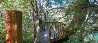 Charming & Beautiful. Perfect for families.Swing. Tree House, Dog Friendly +++++