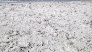 A sandy beach with clear blue water and a clear sky. - ~ Music by the Sea ~ On the Beach ~ Hear the Ocean Surf~ (Indian Rocks Beach)