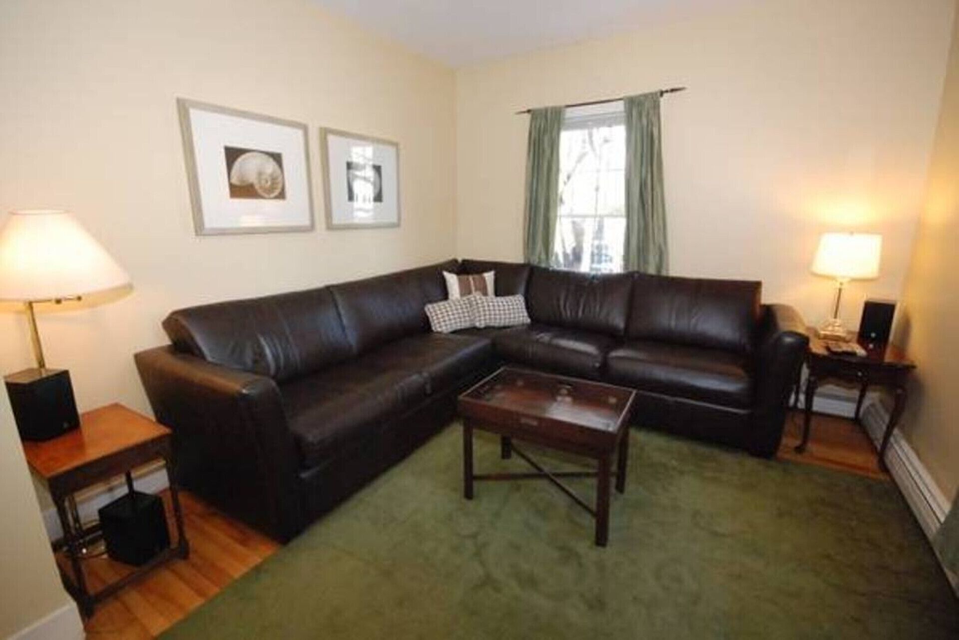 Back Cove Charmer Close to Everything