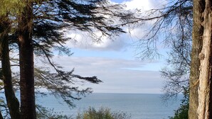A serene outdoor seating area with two lounge chairs facing a body of water, surrounded by trees and greenery. - An Oceanfront Cottage with Stunning Views and Direct Beach Access (Shirley)