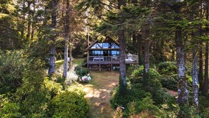 A cabin surrounded by dense forest, with a visible deck and a clear path leading to the entrance. - An Oceanfront Cottage with Stunning Views and Direct Beach Access (Shirley)