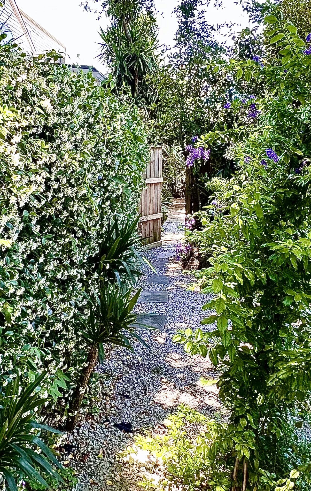 Overnatningsstedets område