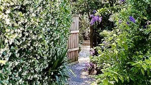 Un sendero de jardín con diversas plantas y una valla de madera.