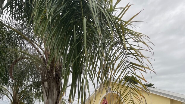 A house with a white picket fence, outdoor furniture, and a red umbrella. - 10% discounts Aug, Sept  (St Augustine)