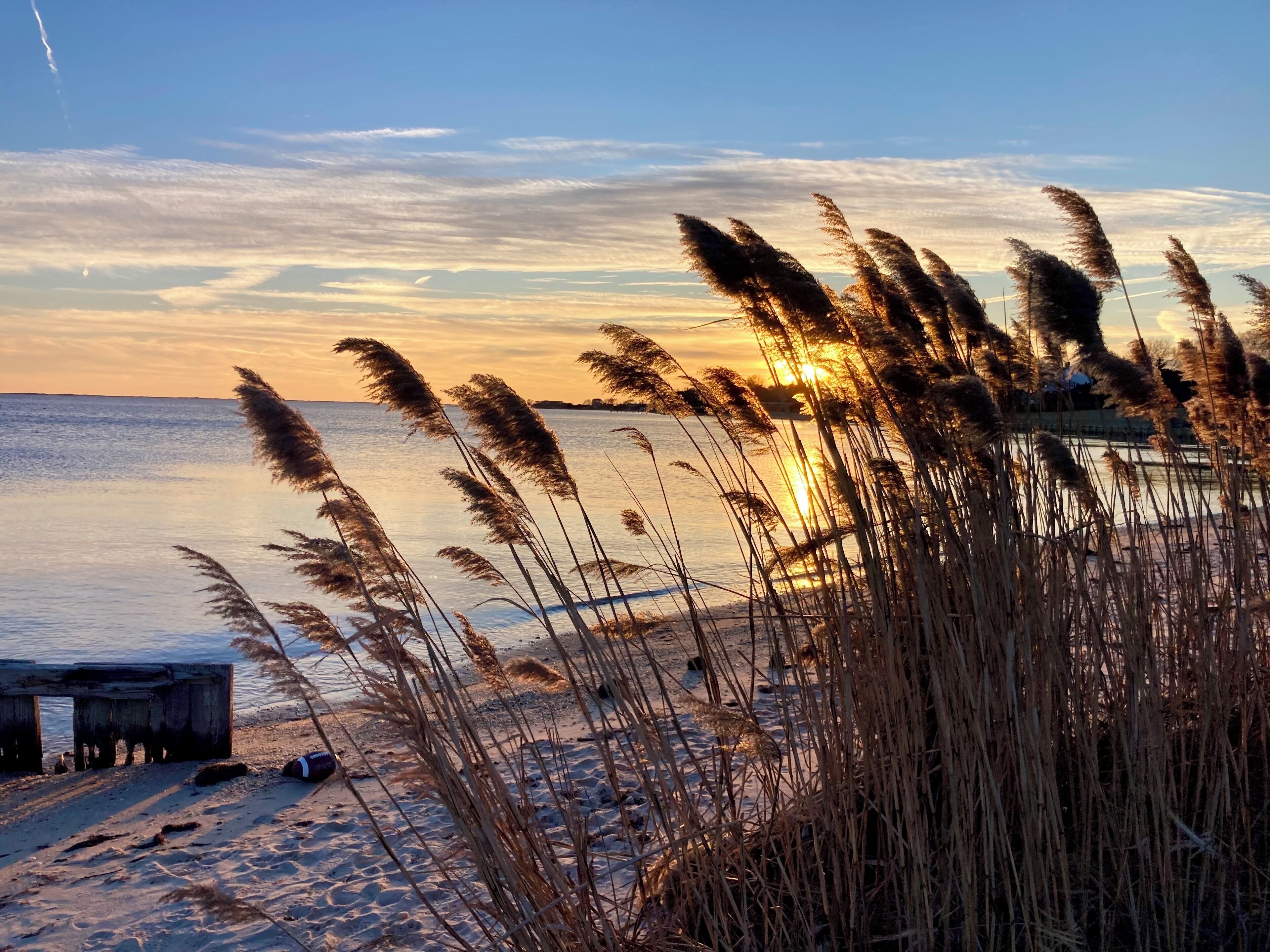 Winter beach