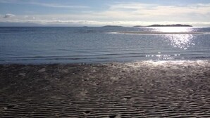 A beach with a rocky shoreline and calm water. - Pet Friendly 2 bedroom plus loft, in Parksville's beautiful resort area (Parksville)