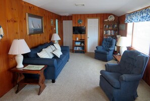 TV, DVD player, books, video library