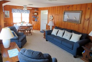 TV, DVD player, books, video library