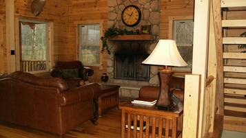 智能电视、壁炉、DVD 播放器、书