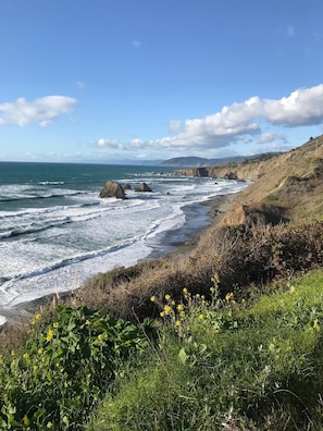 A coastal landscape with a rocky shoreline, waves, and a grassy foreground with yellow flowers.