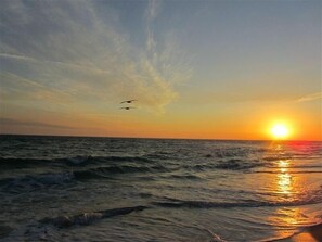 Ein Sonnenuntergang über dem Meer mit Wellen und fliegenden Vögeln.