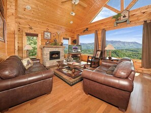 Smart TV, fireplace, books