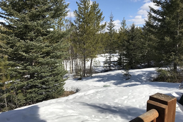 Winter view off back deck
