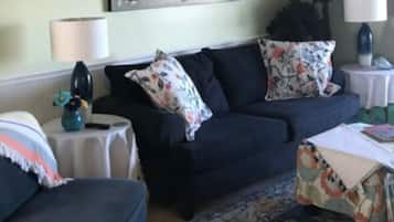 TV, DVD player, books