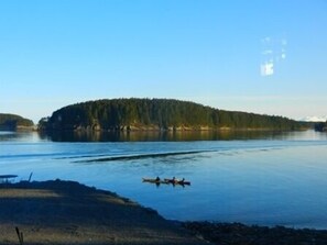 On the beach - Beachside Retreat-Oceanfront Home (Kodiak)
