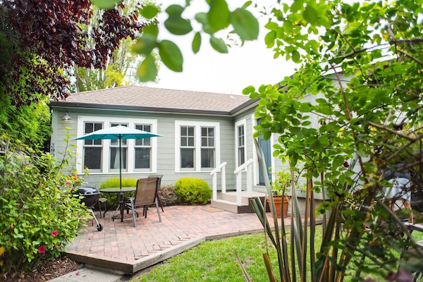 テラス / パティオ