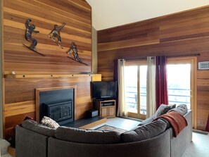 TV connectée, cheminée, jeux vidéo, lecteur de DVD