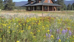 A rustic cabin with a large porch, surrounded by a field of wildflowers and tall trees. - Ranch Style Cabin on 20 Acres in the Beautiful Tunk Valley (Riverside)