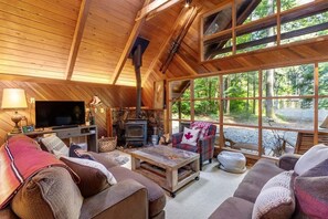 TV, fireplace