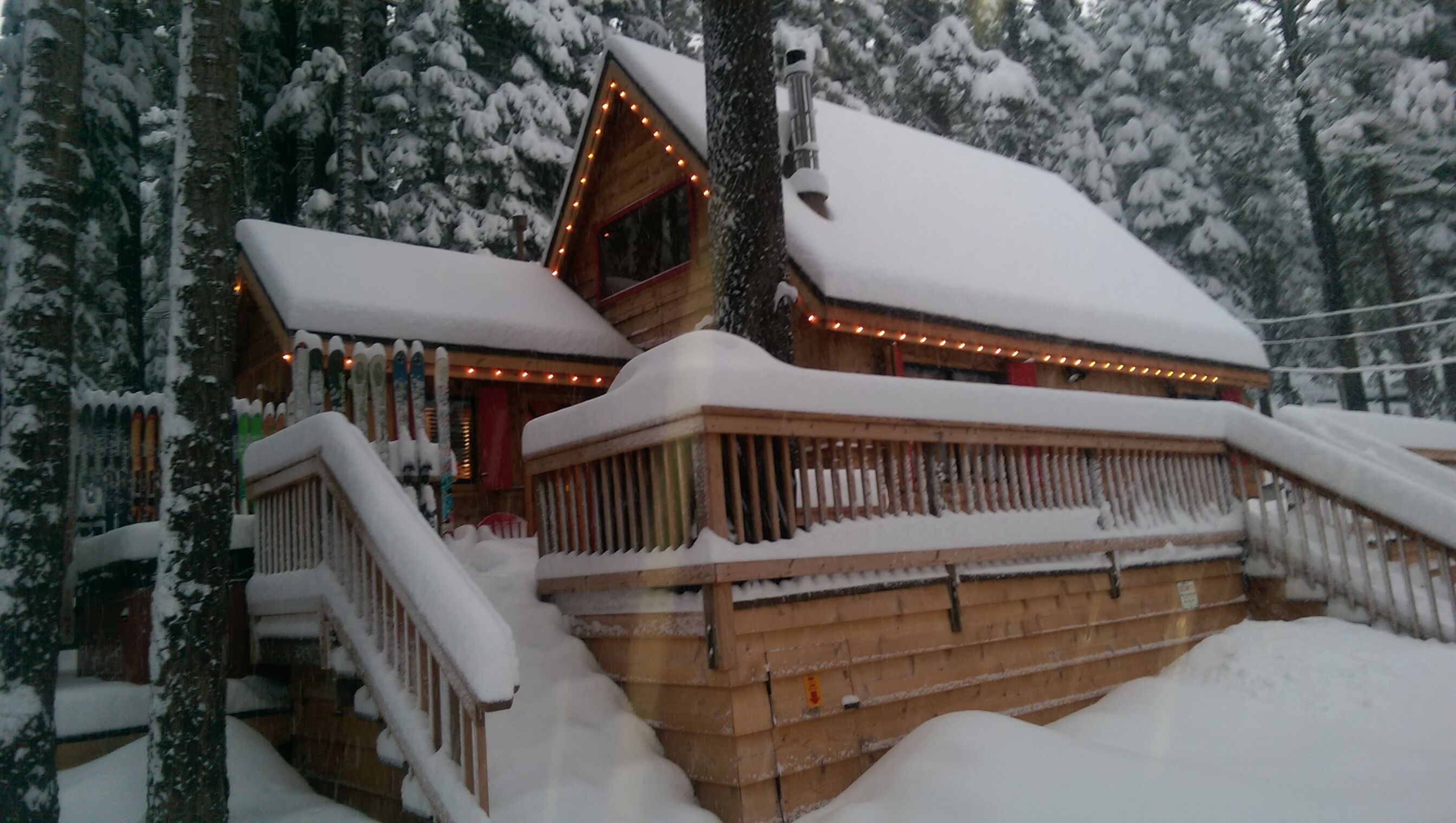 Front view in Winter