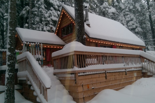Front view in Winter