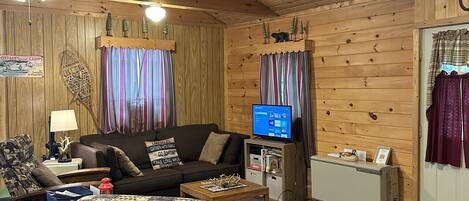 Una televisión, un reproductor de DVD, libros