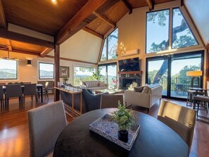 Smart TV, fireplace, books