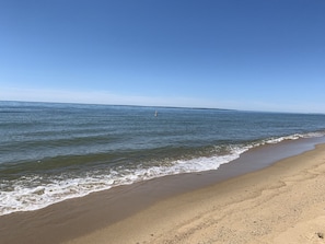 Ubicación cercana a la playa, tumbonas y toallas de playa