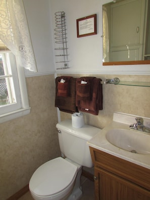 A bathroom with a toilet, sink, and towel rack.
