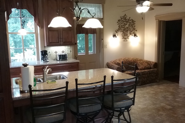 Main kitchen peninsula and sleeper sofa