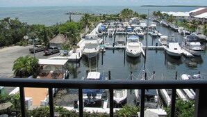 A marina with numerous boats docked, surrounded by lush greenery and a clear sky.