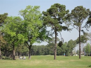 Golf - New1st Floor Golf Villa, Free Computer/Wireless, Amenities (Myrtle Beach)