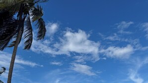 A beach with palm trees, rocky shoreline, and ocean view. - Hacienda Margarita—Private Pool Spacious Home with VIEWS! (Luquillo)