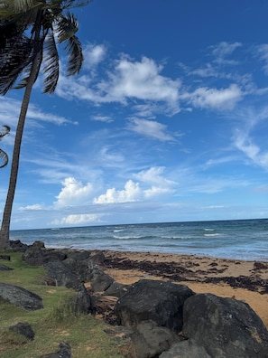 Una playa con palmeras, costa rocosa y vista al océano.