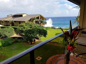 Property grounds - BEAUTIFUL POIPU OCEAN VIEW 2 BRD 2.5 BATH Condo with A/C 
Great Spring Rates!
 (Koloa)