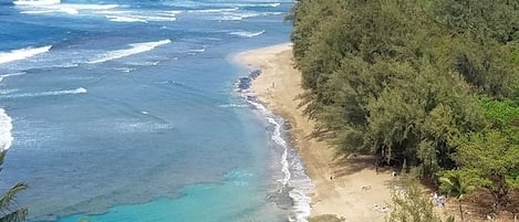 靠近海滩