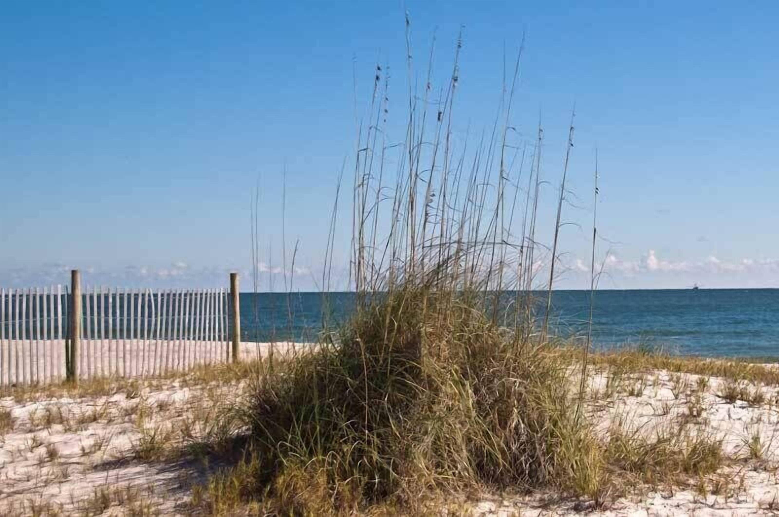 En la playa y toallas de playa 