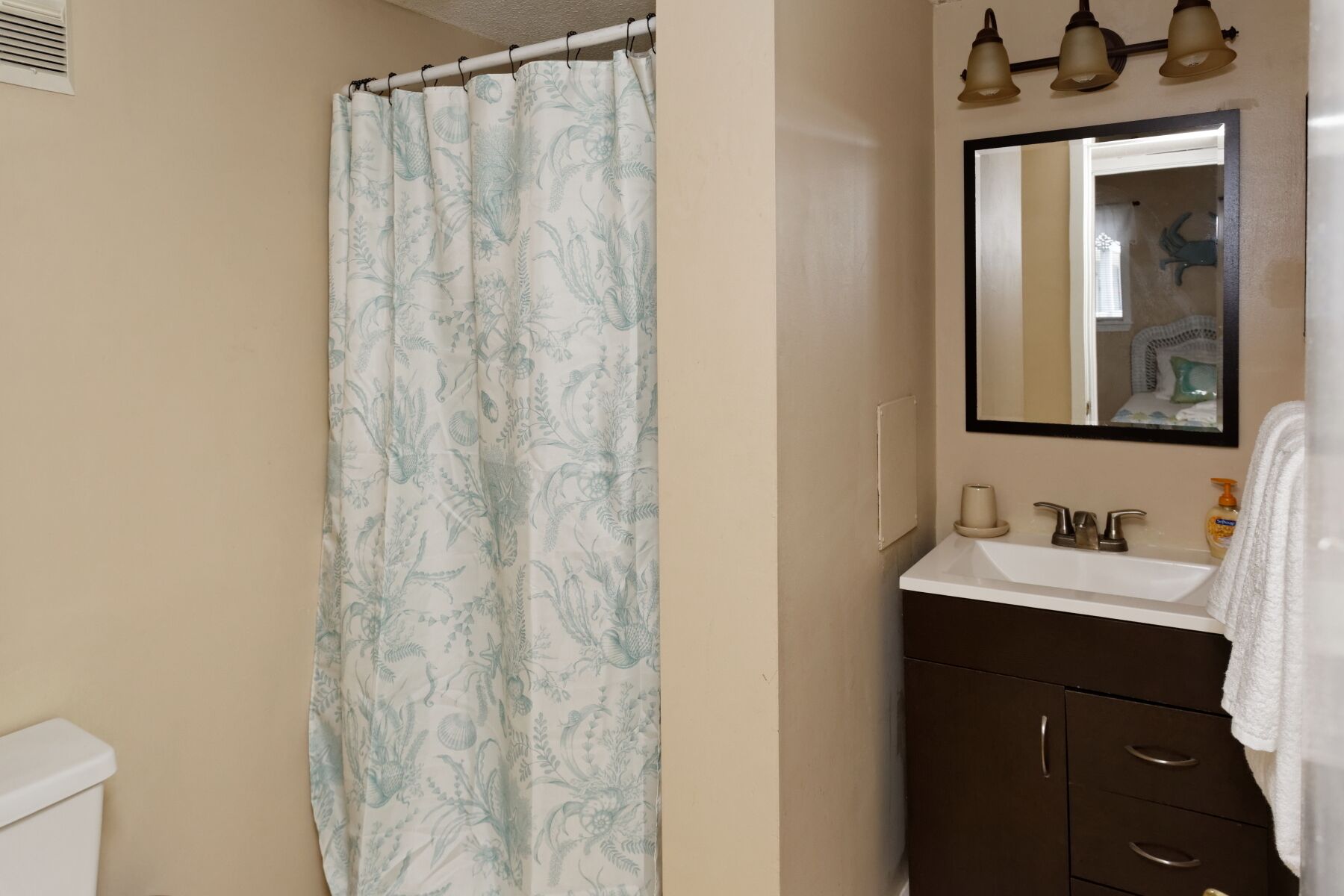 Guest bathroom