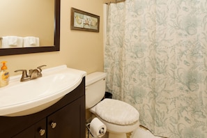 Combined shower/tub, hair dryer, towels, toilet paper