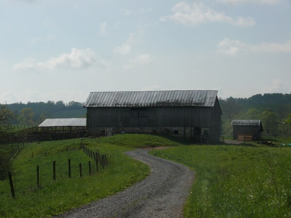 A rural landscape with a gravel path leading to a large, rustic barn with a metal roof.