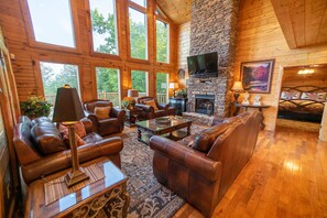 智能电视、壁炉、DVD 播放器