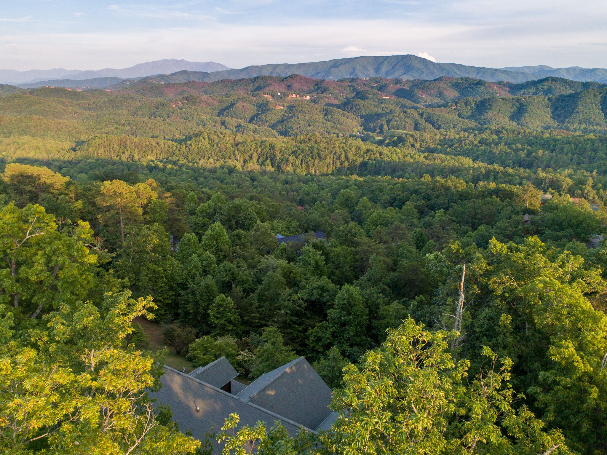 Un paysage boisé, avec une maison nichée au milieu des arbres.