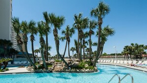 Una piscina rodeada de palmeras y sillas de descanso.